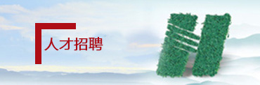 2025新澳门免费原料网